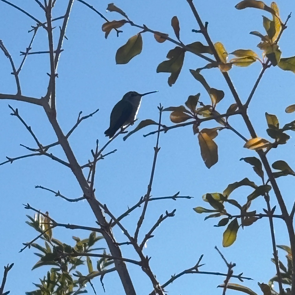 Meet your Posher, Christy